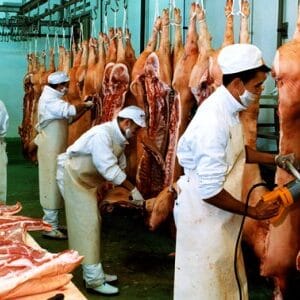 Prevención de Riesgos en la Industria de la Carne.