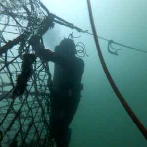 Curso de Medidas de Seguridad en el Buceo Acuícola