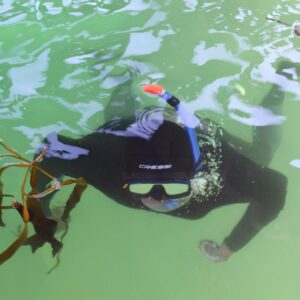 Curso de Tablas de Descompresión Españolas